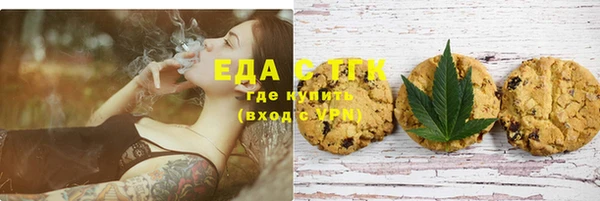 spice Инта