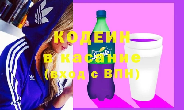 ГАЛЛЮЦИНОГЕННЫЕ ГРИБЫ Инсар