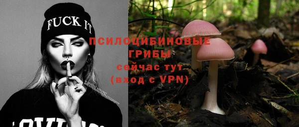 spice Инта
