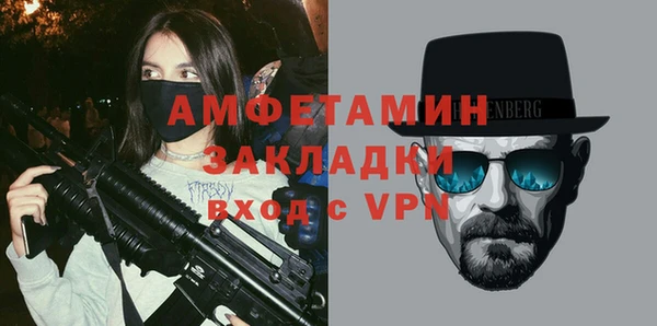 ГАЛЛЮЦИНОГЕННЫЕ ГРИБЫ Инсар