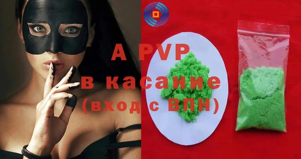 ГАЛЛЮЦИНОГЕННЫЕ ГРИБЫ Инсар