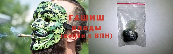 spice Инта