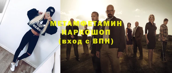 ГАЛЛЮЦИНОГЕННЫЕ ГРИБЫ Инсар
