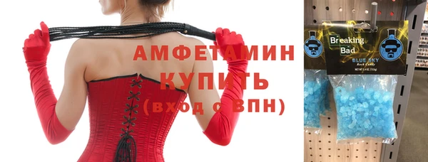 spice Инта