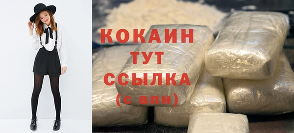 ГАЛЛЮЦИНОГЕННЫЕ ГРИБЫ Инсар