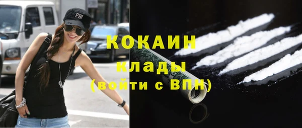 ГАЛЛЮЦИНОГЕННЫЕ ГРИБЫ Инсар