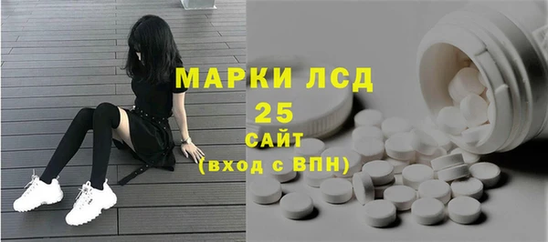 ГАЛЛЮЦИНОГЕННЫЕ ГРИБЫ Инсар