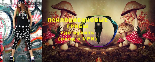 ГАЛЛЮЦИНОГЕННЫЕ ГРИБЫ Инсар
