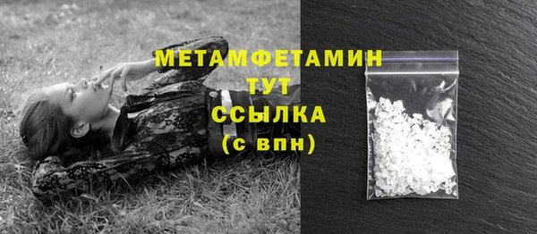 ГАЛЛЮЦИНОГЕННЫЕ ГРИБЫ Инсар