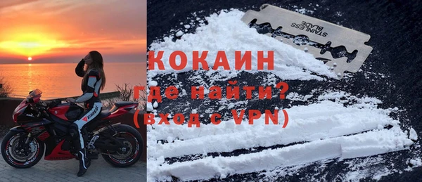 ГАЛЛЮЦИНОГЕННЫЕ ГРИБЫ Инсар