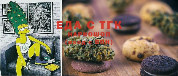spice Инта