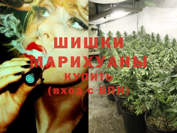 spice Инта