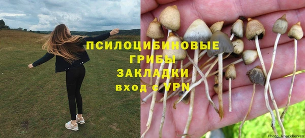 ГАЛЛЮЦИНОГЕННЫЕ ГРИБЫ Инсар