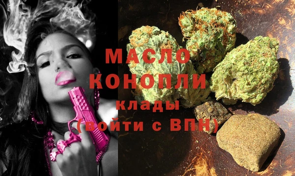 spice Инта