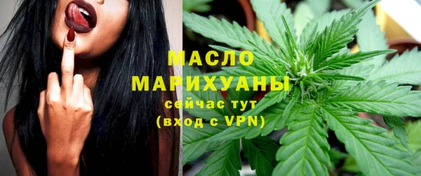 spice Инта