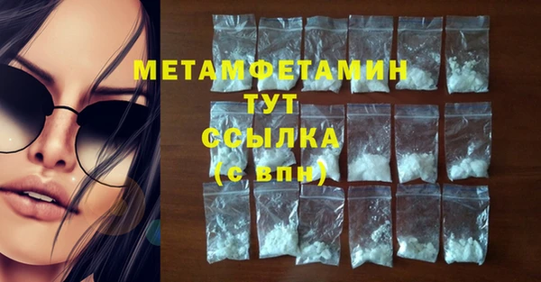 spice Инта