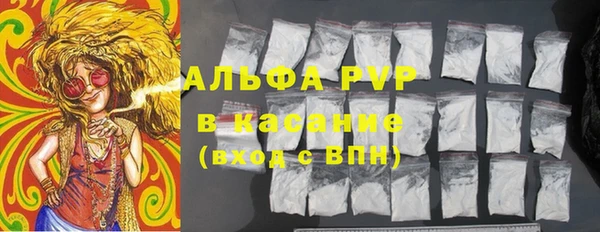 ГАЛЛЮЦИНОГЕННЫЕ ГРИБЫ Инсар