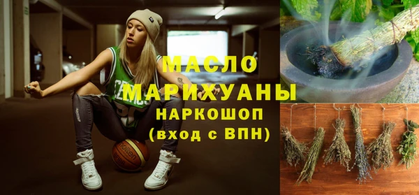 spice Инта