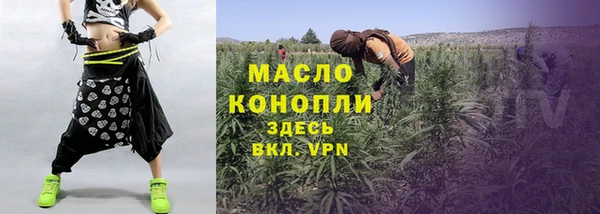 spice Инта