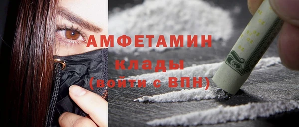 spice Инта