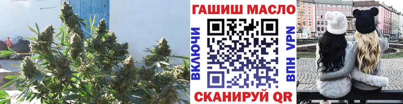 ТГК Wax  Артём 