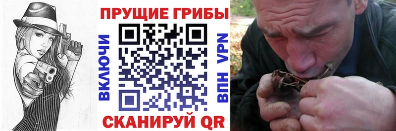 Галлюциногенные грибы прущие грибы  купить закладку  Артём 